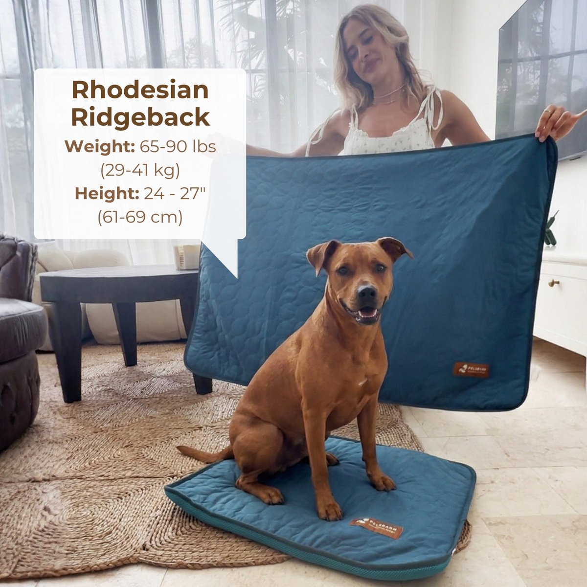 Cooling Mat with pet