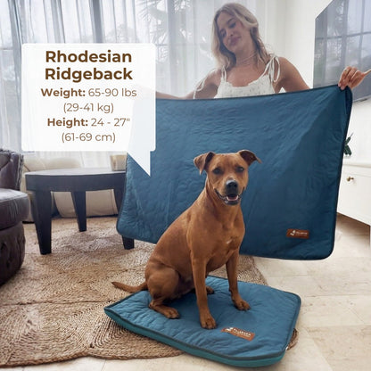 Cooling Mat with pet