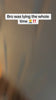 DAILYVIDZZ